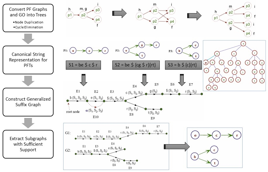 Mining for Unknown Pathways