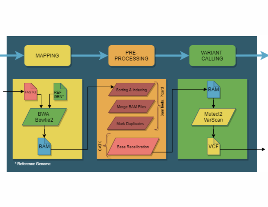 Ongoing Project:Comparative Sequencing Analysis Platform